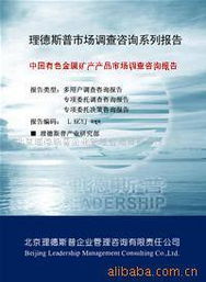 企業(yè)管理咨詢 現(xiàn)代企業(yè)發(fā)展的戰(zhàn)略引擎——以北京理德斯普企業(yè)管理咨詢有限責(zé)任公司為例